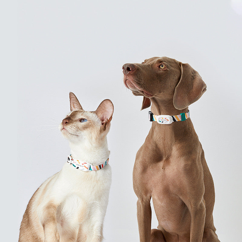 Collar con sensor de actividad PETKIT para gatos y perros